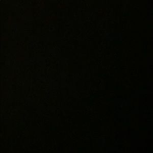 Meet your Posher, Timmy